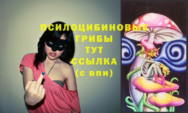 крисы Алексеевка