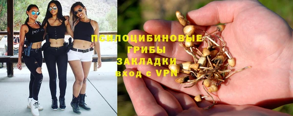 крисы Алексеевка