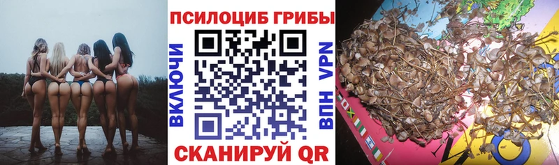 Псилоцибиновые грибы Cubensis  OMG ССЫЛКА  Лаишево 